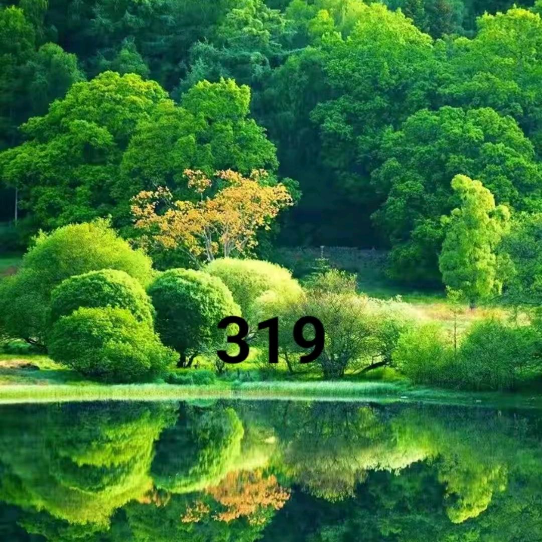 易冠青