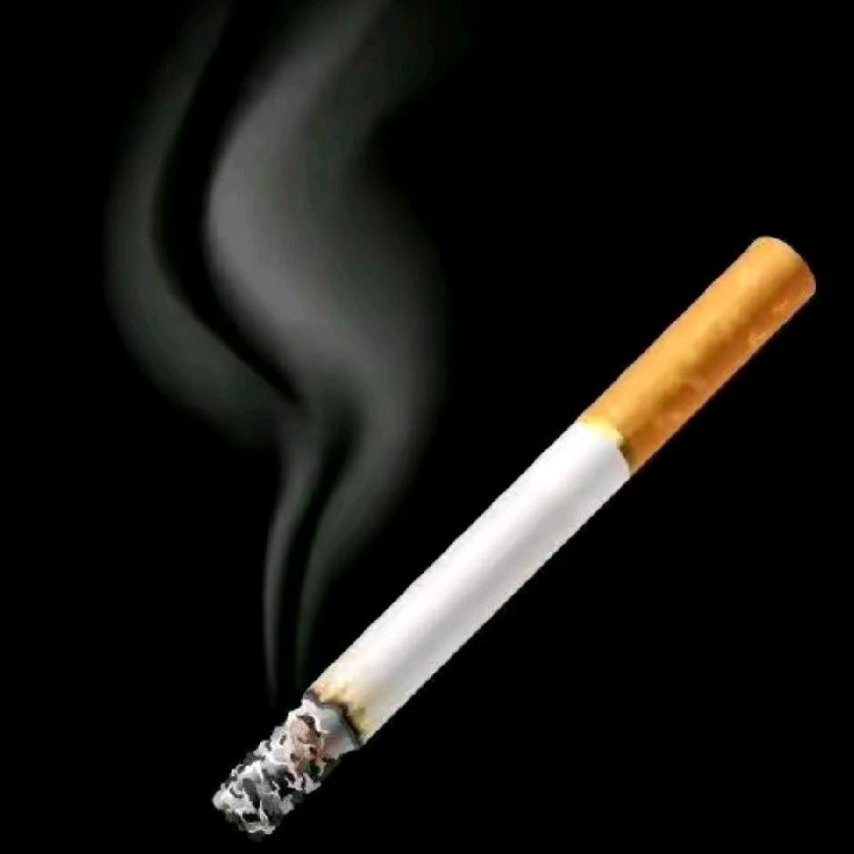 你的无耻打动了我