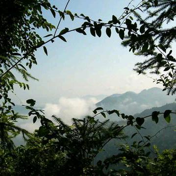 延平茫荡山