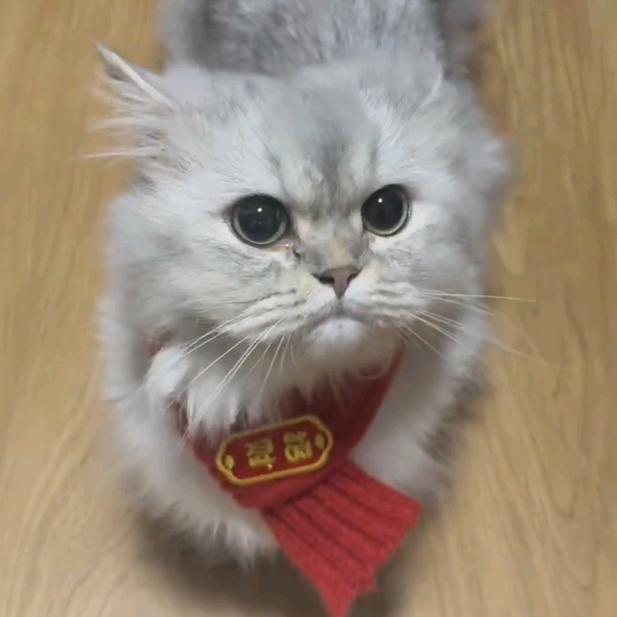 好烫