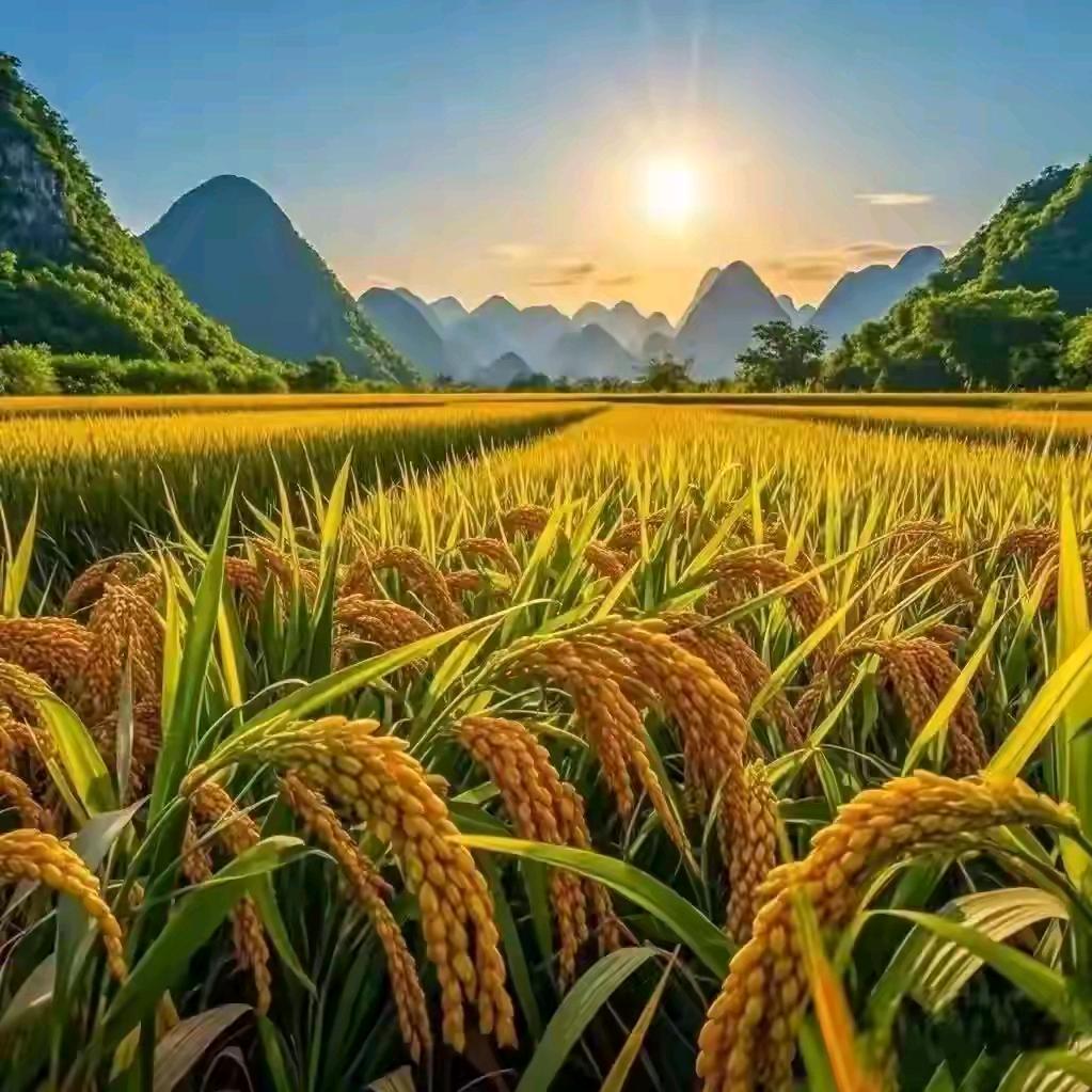 惠益百货店