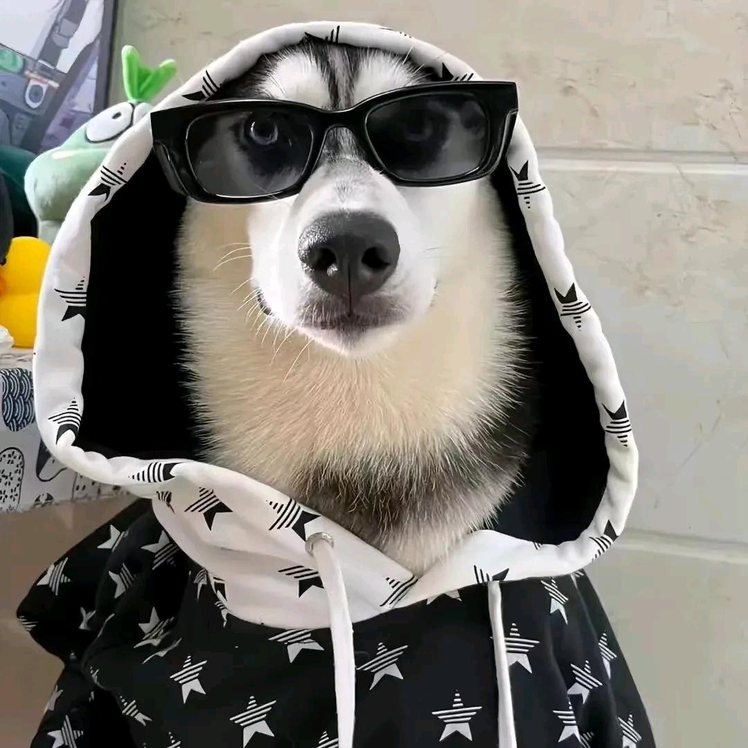 铁锅大乱炖