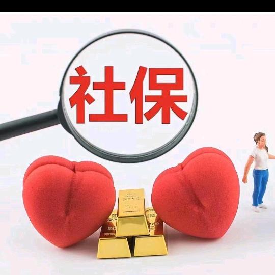 社保助手