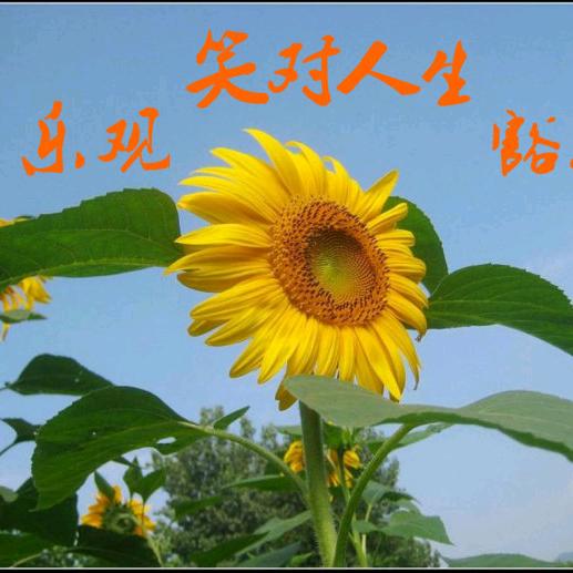 笑对人生