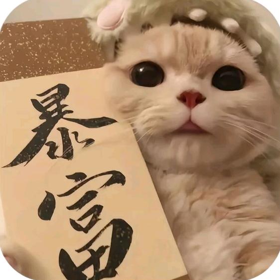 小猪爱吃零食