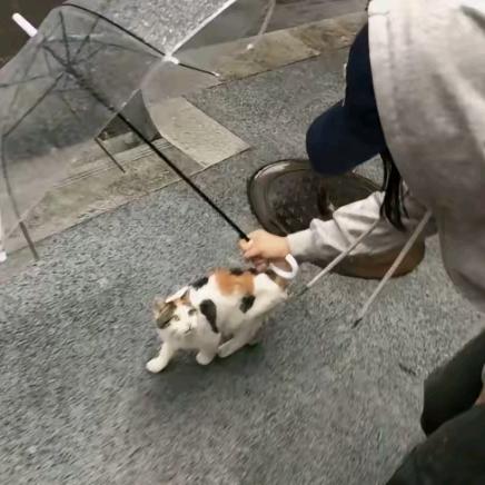 ಣ