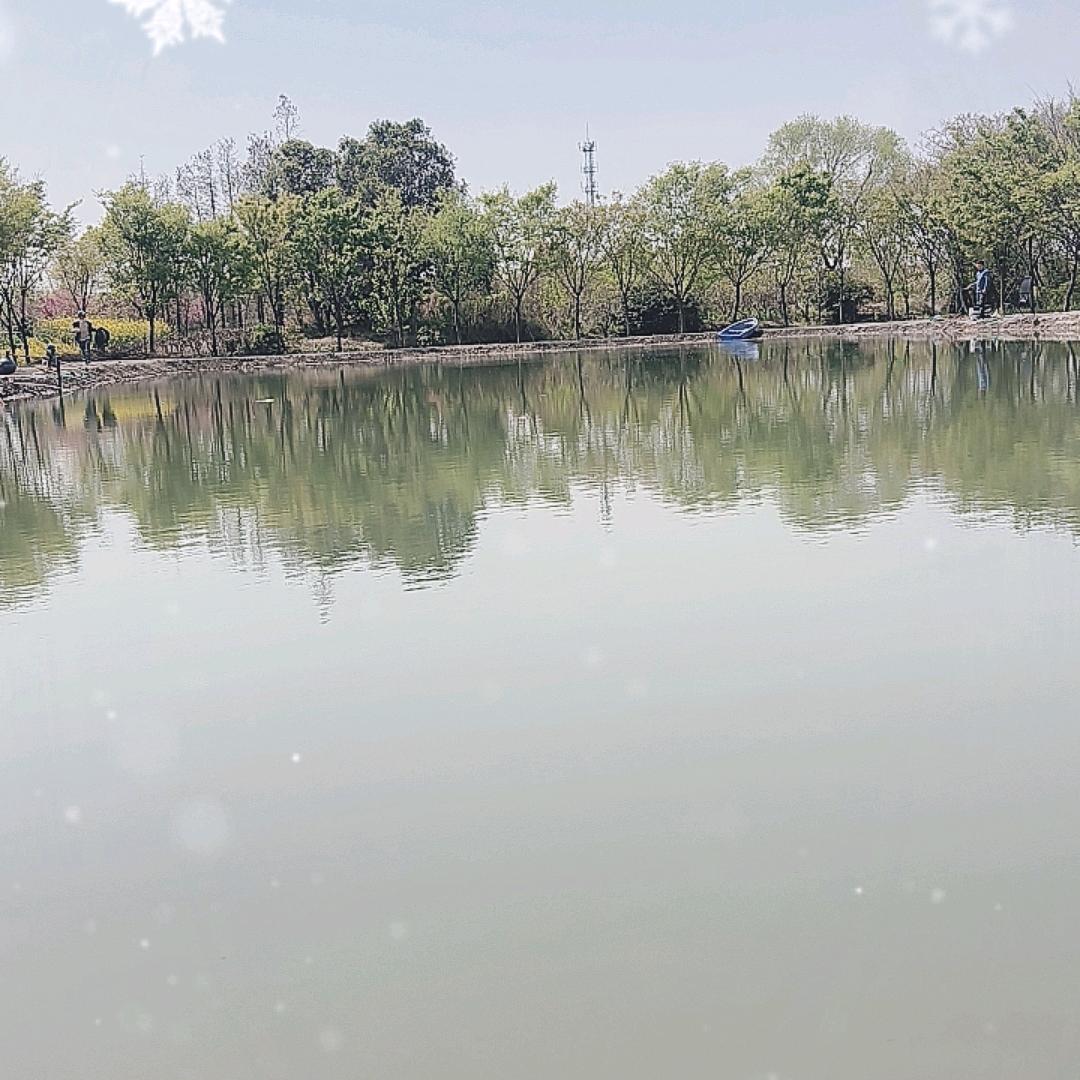 双林“开心钓场”