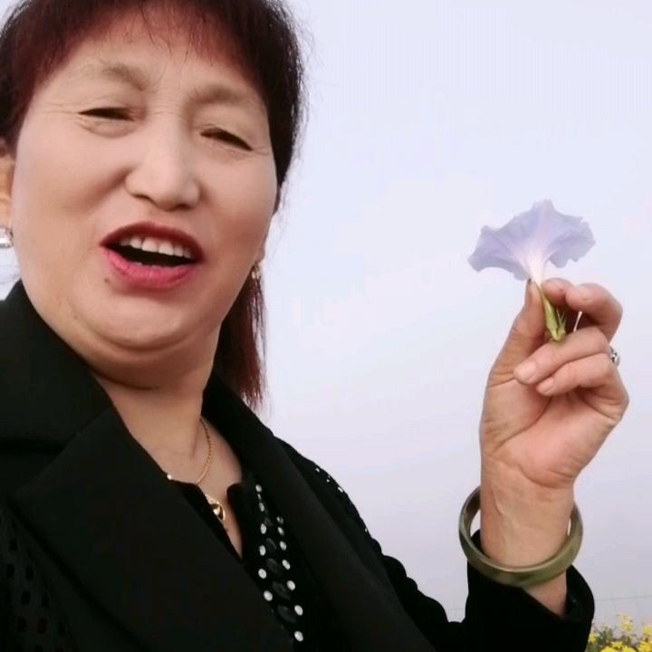 唱片
