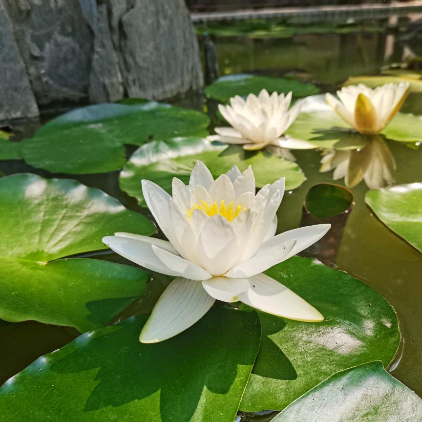 岁月