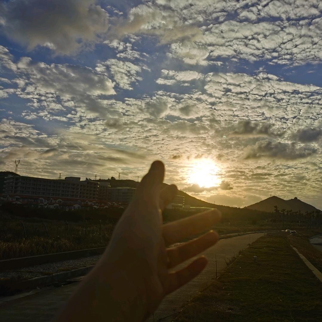 芒果不忙  🌻