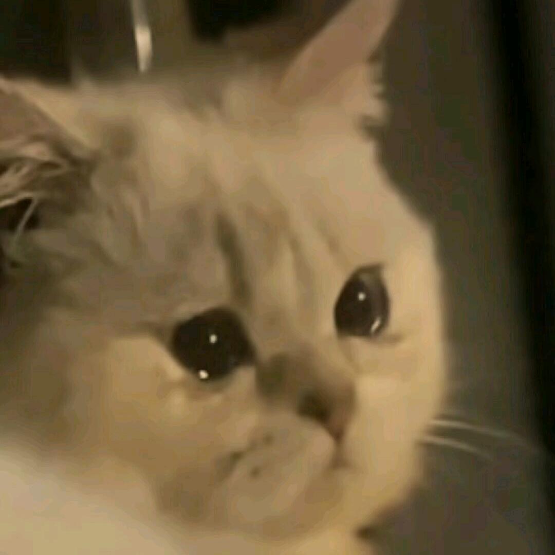 柙(突击全能手)