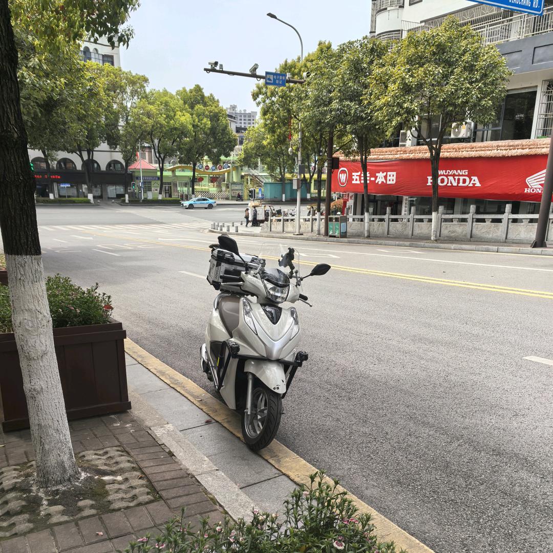 五羊本田张家界