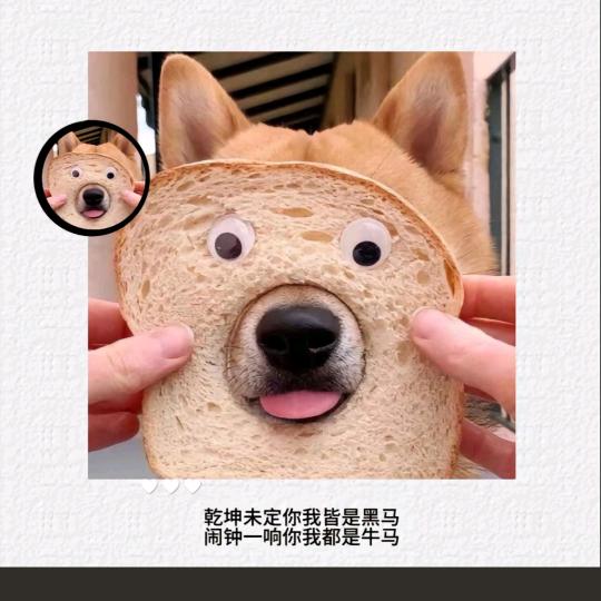 青春