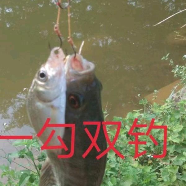一勾双钓