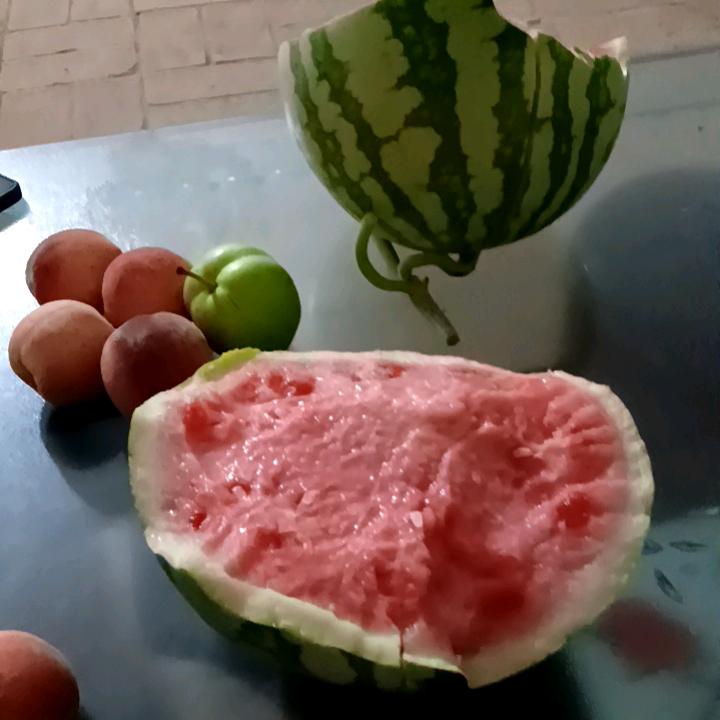 玖月