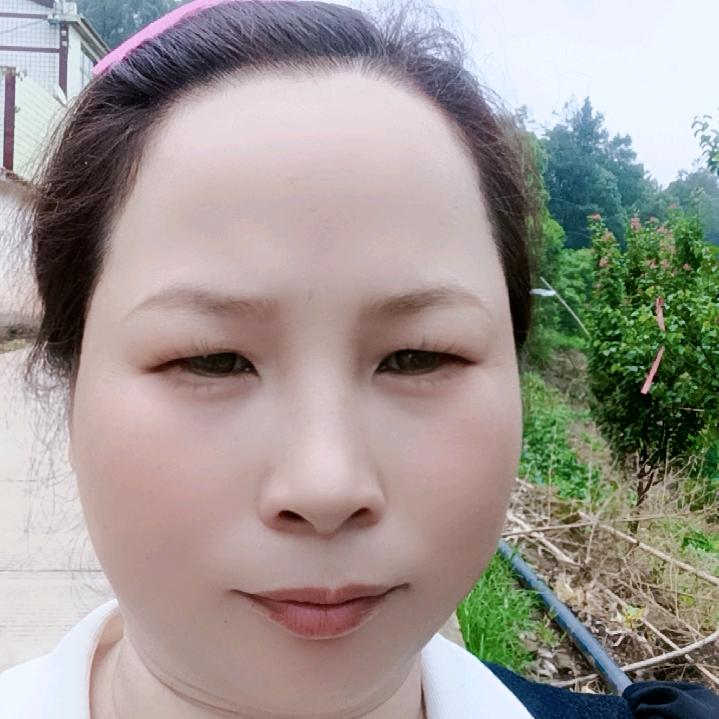 红豆（每天下午一点十五分）