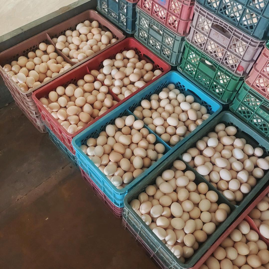 家佳牧业合作社