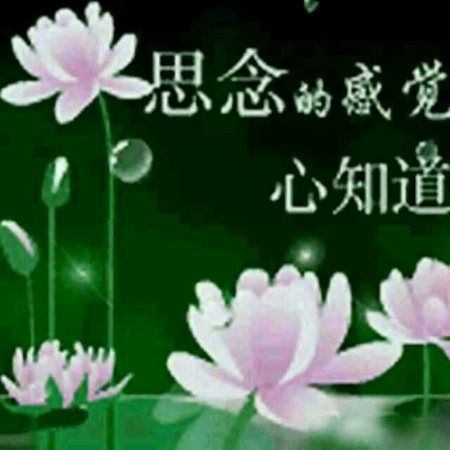 相懦以沫h