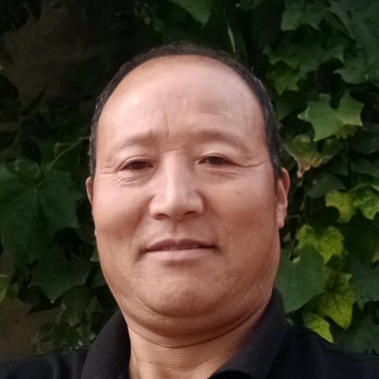 马大哥