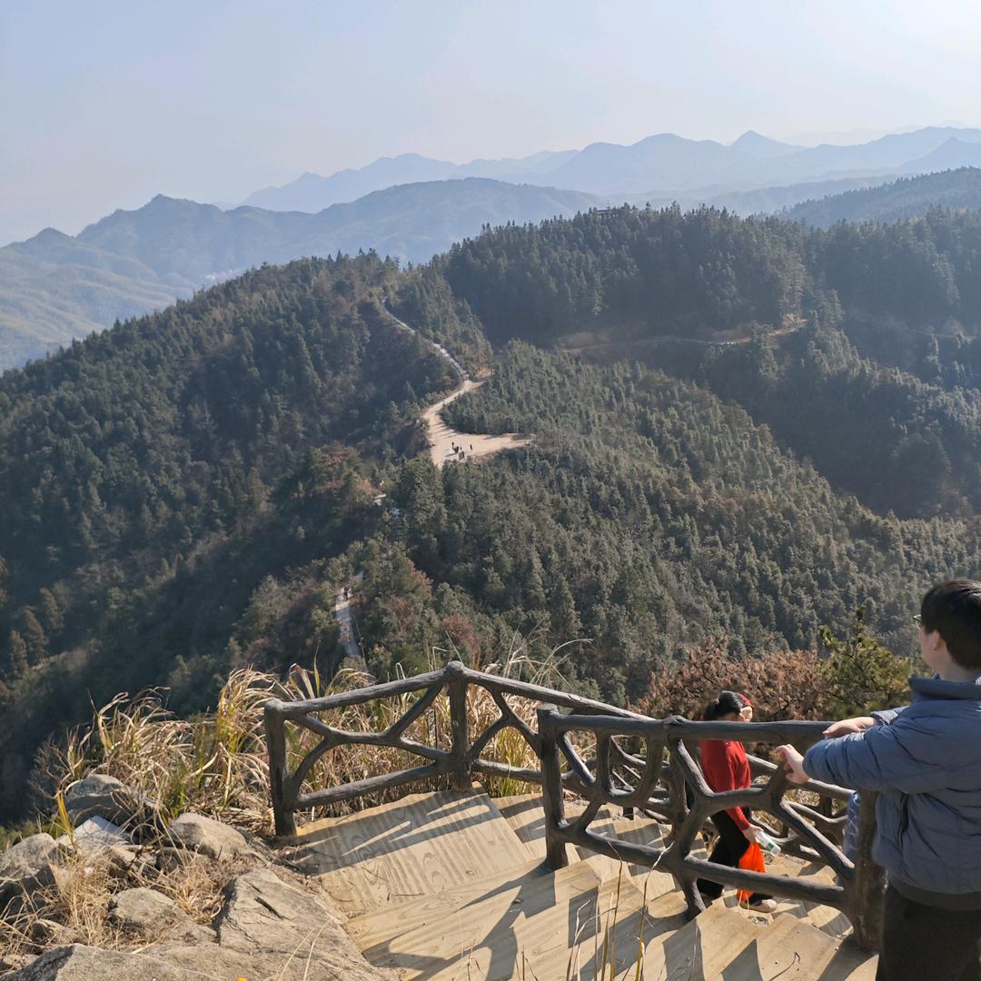 好事连连桃，🌸🌻