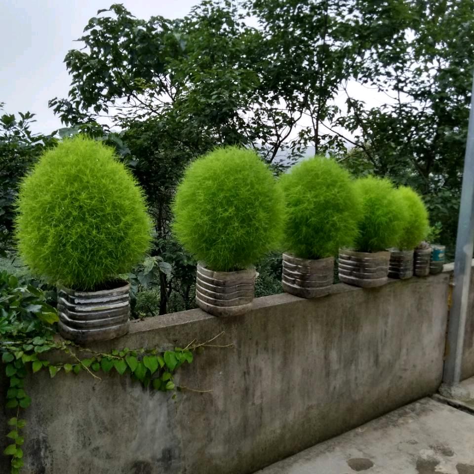 你不言，我不语。