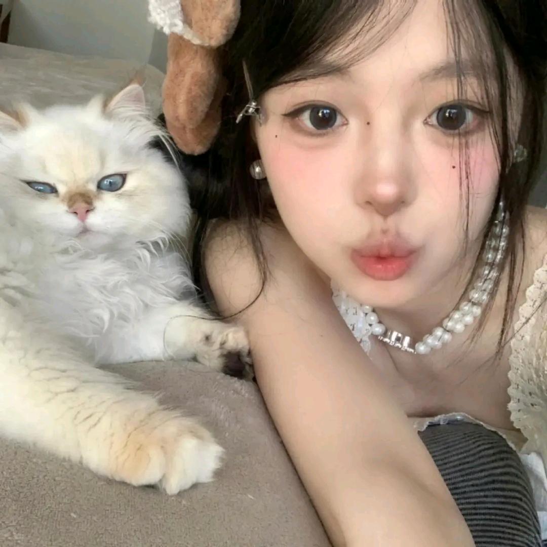 辛德瑞拉～