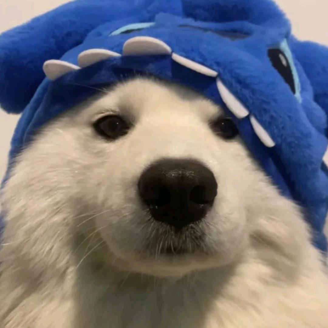 ㅤ ㅤ    ㅤ ㅤ