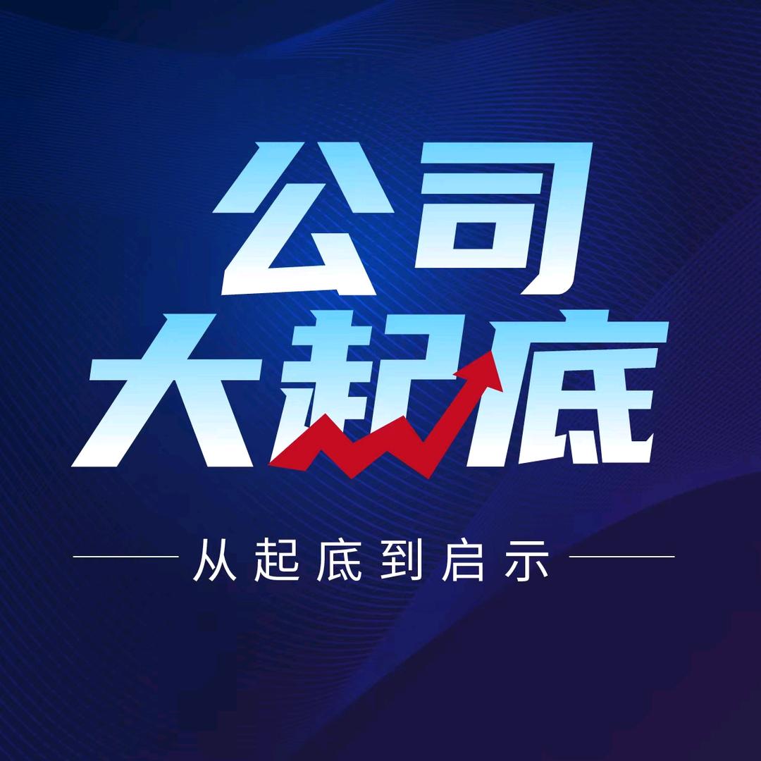 公司大起底