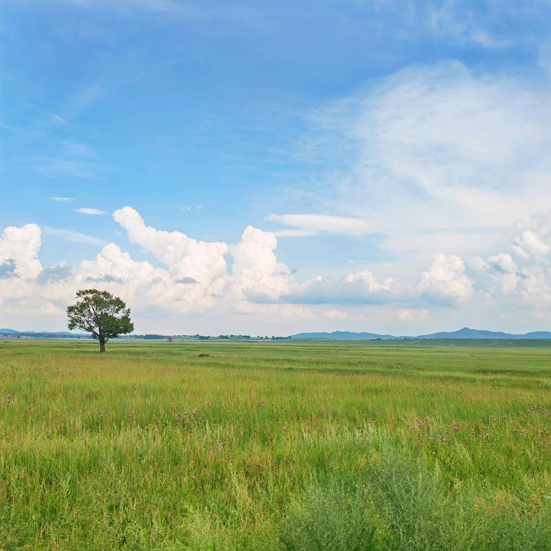 是鹿🦌不是驴呀