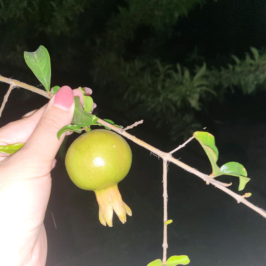 沉默