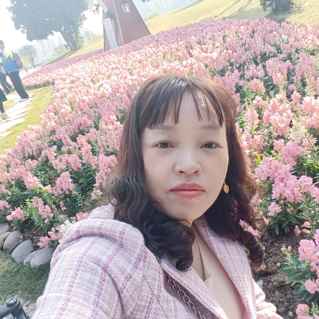 琴音绕梦间