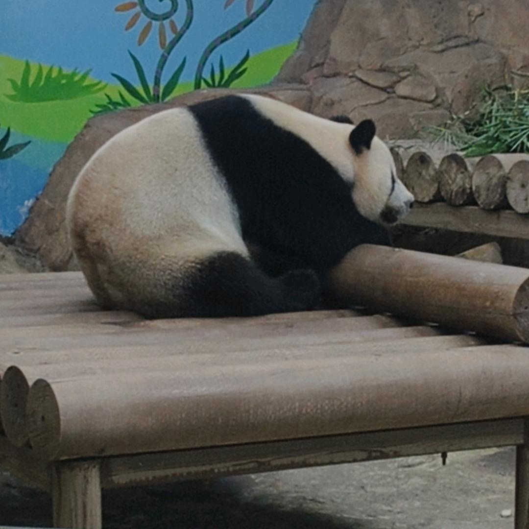 沐秋