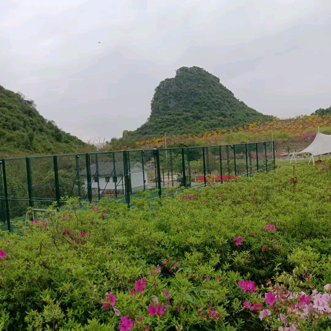 范秋军