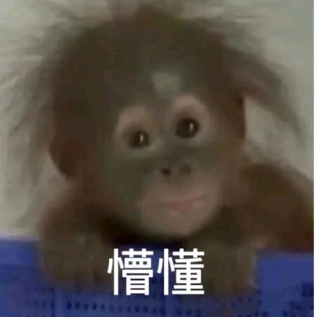 吗喽吗喽