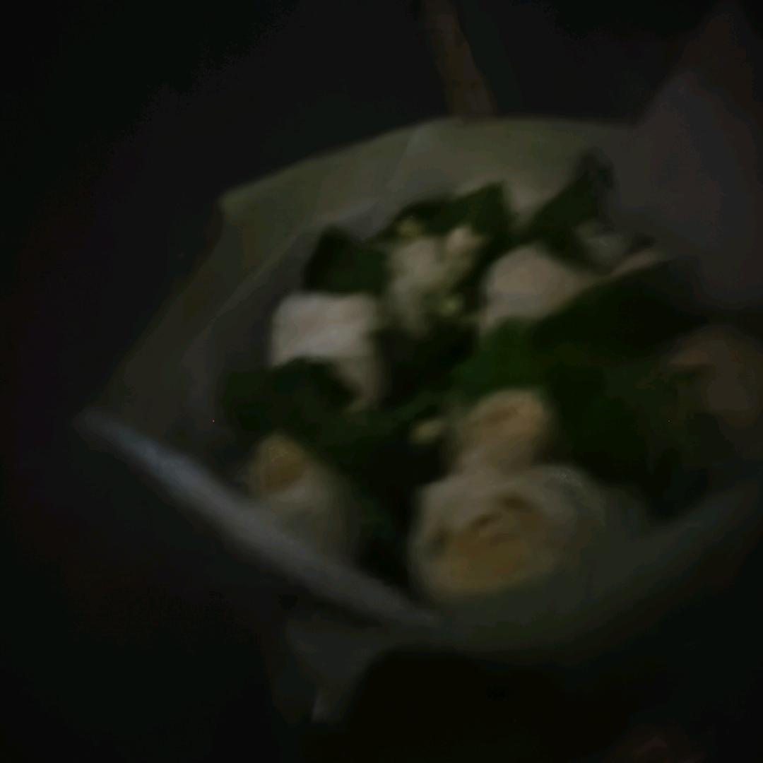 超级无敌爱吃豆角.