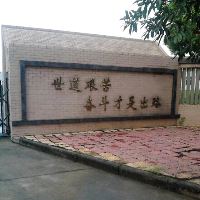 昊昊B8