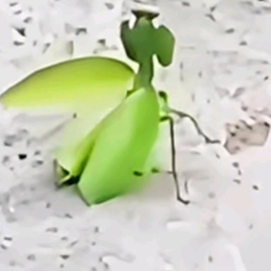 万事如意