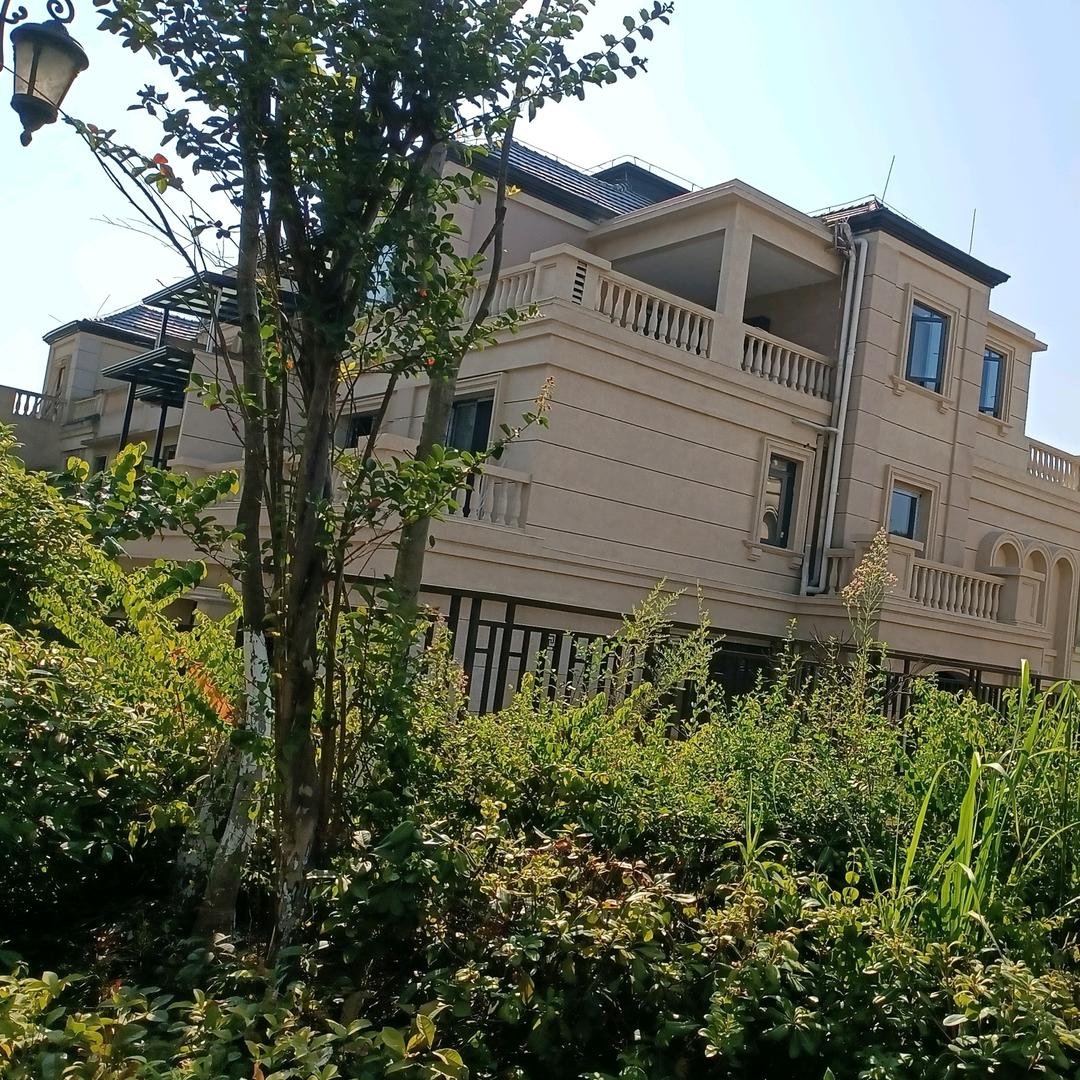 美丽家，装新家#内外墙装饰涂料油漆88