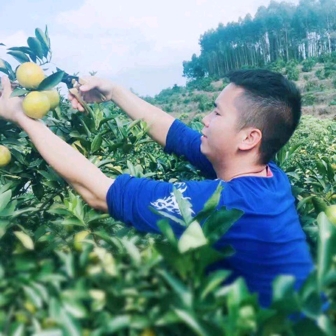 南宁海吉星水果批发代购🍉🍑🍇🍓