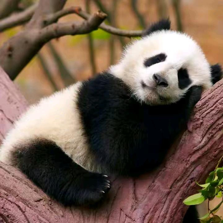 晓燕💕重生💕，小号，爱跳舞💃主播，