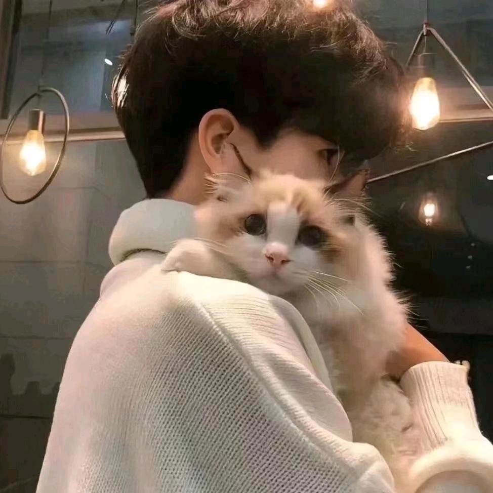 再见日落心动💗