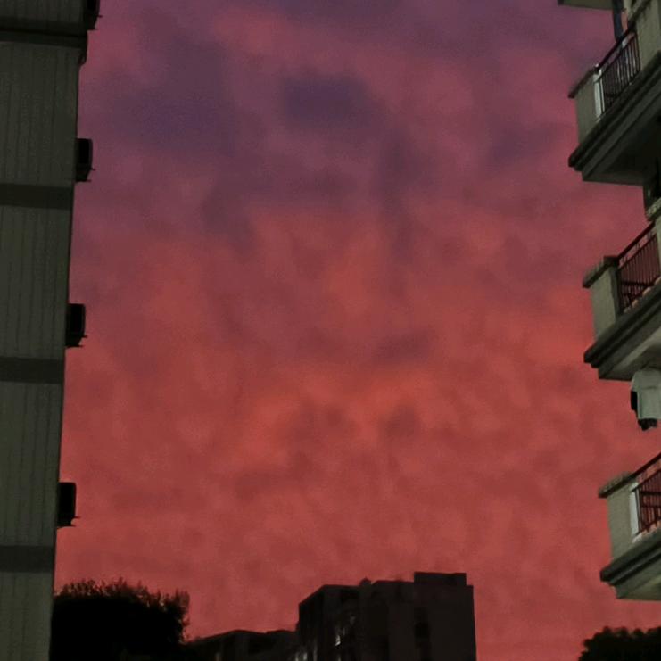 镇农大某宿舍进化论