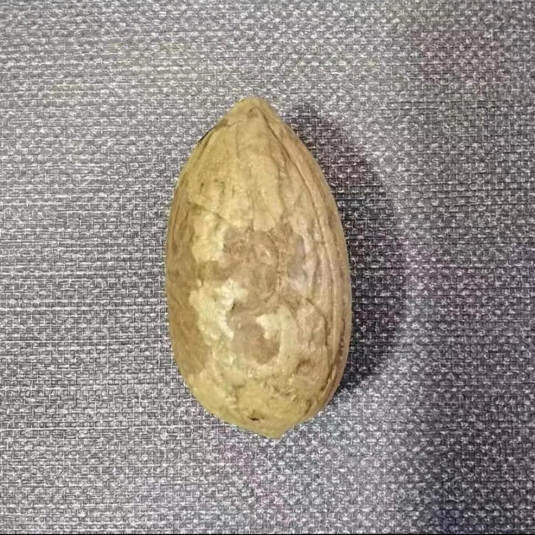 原始大自然的馈赠2