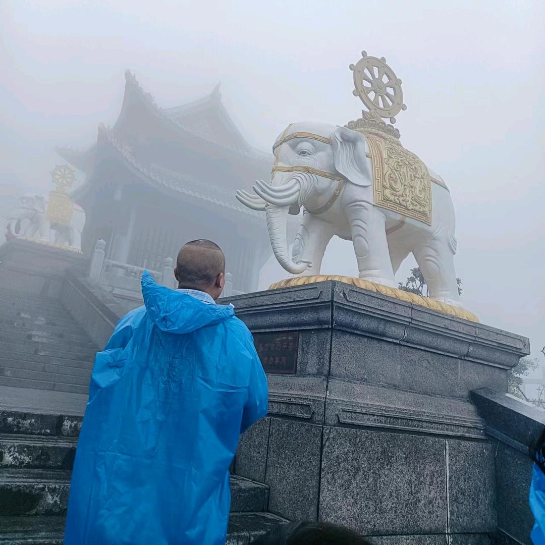 勇闯天涯