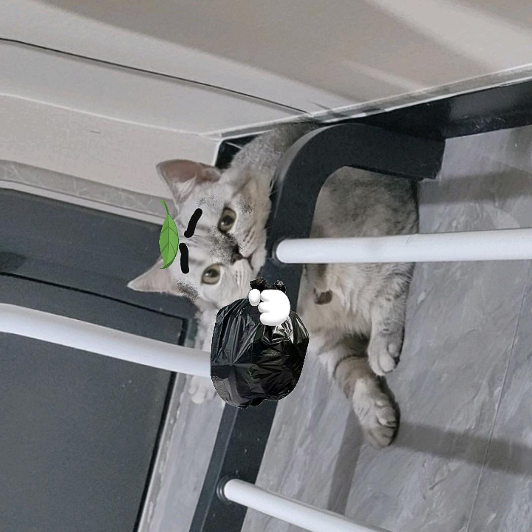 今天你开心ᵇᵘ.