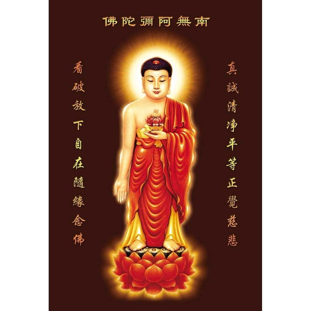阿弥陀佛保佑你(修行中)
