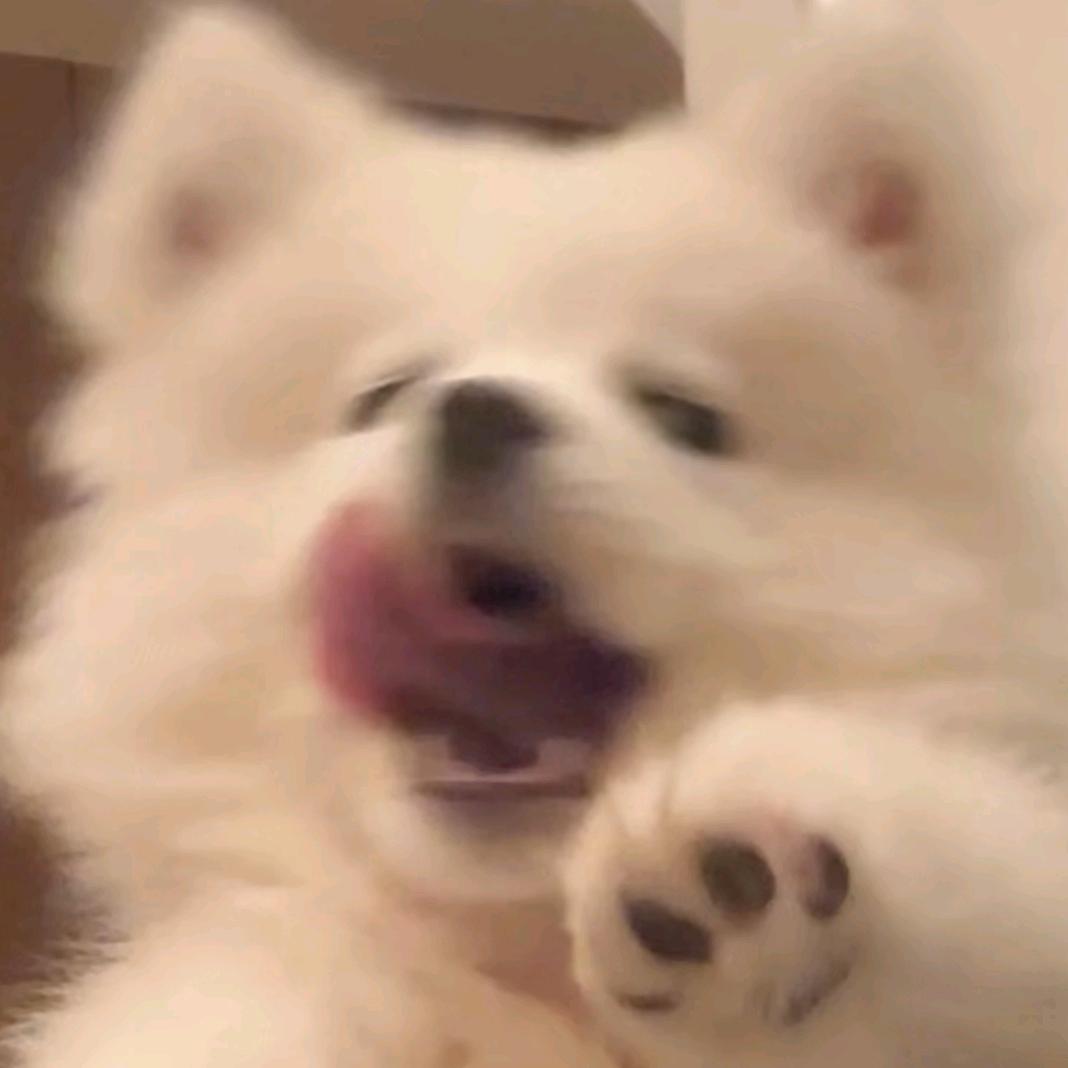 范承承