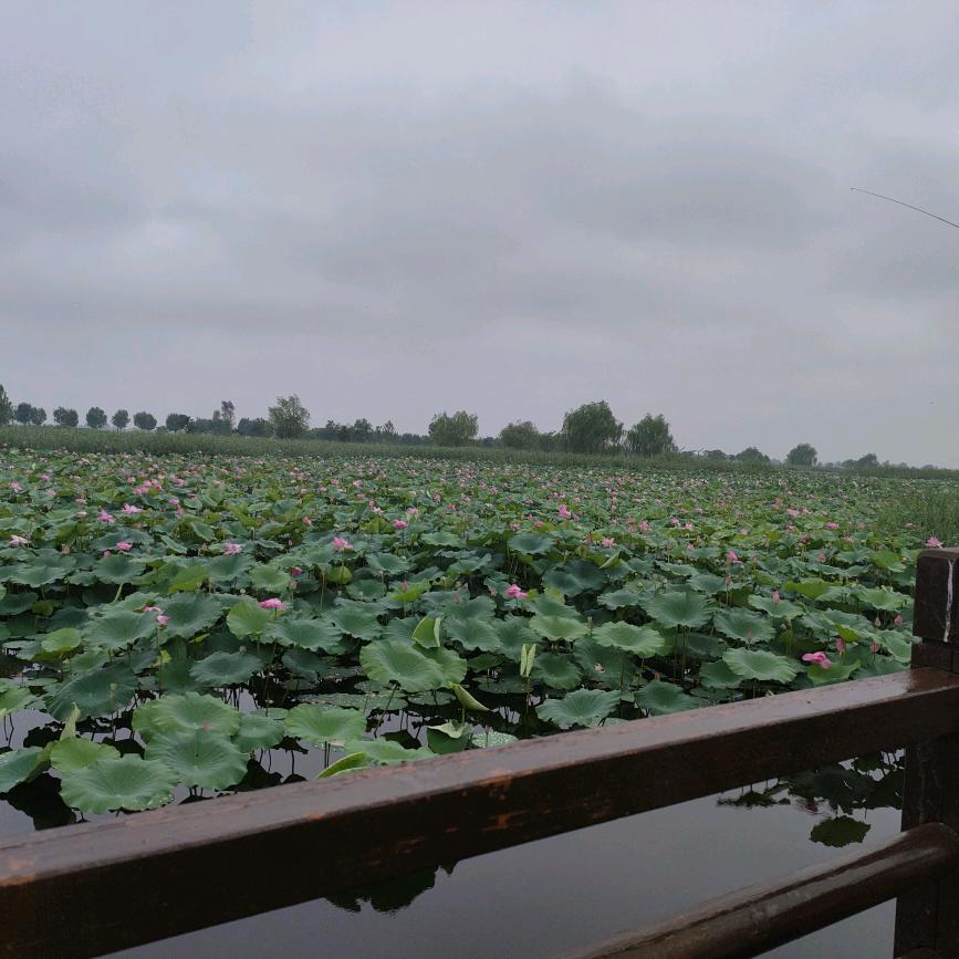 菲菲💕记录生活。