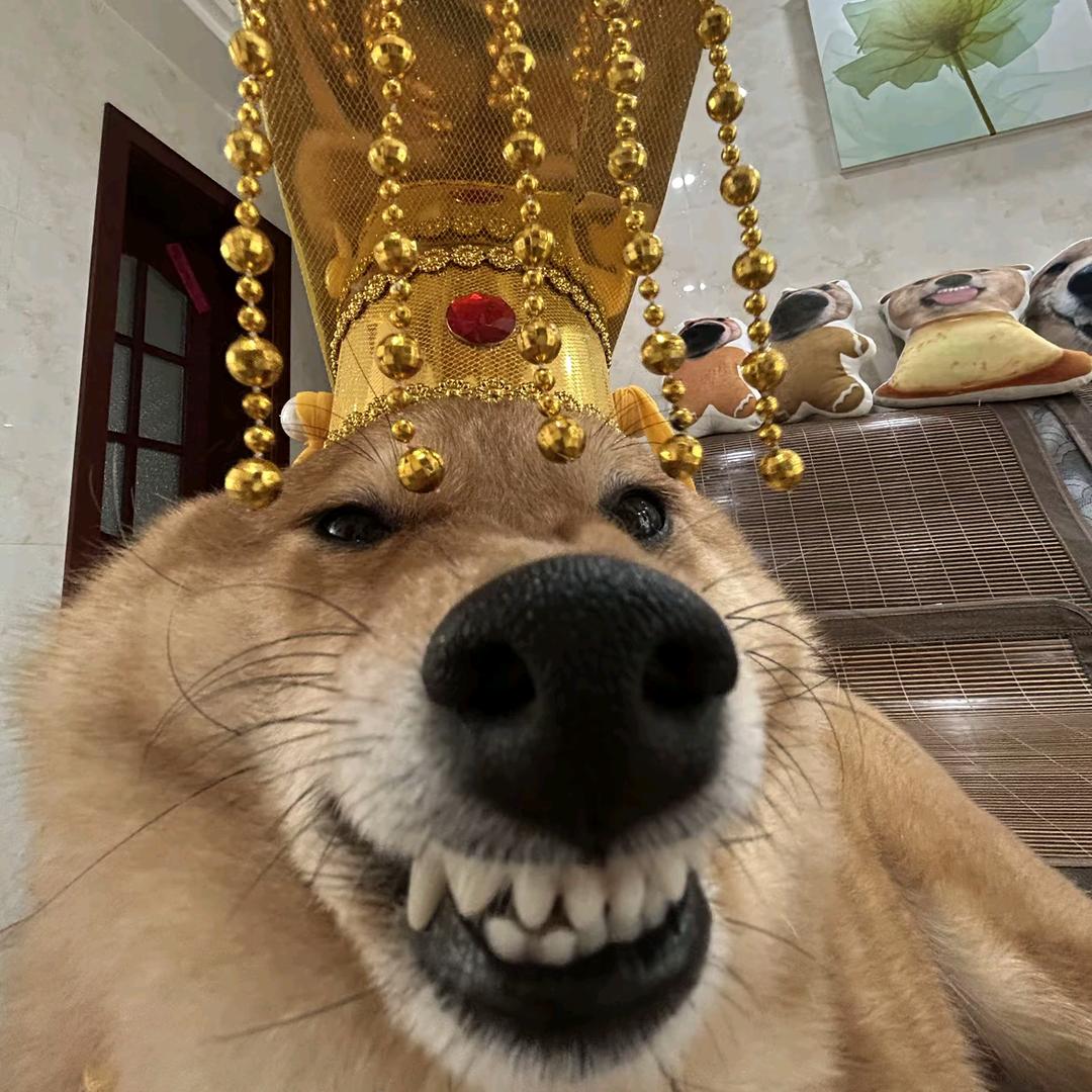 自古辣条出少年