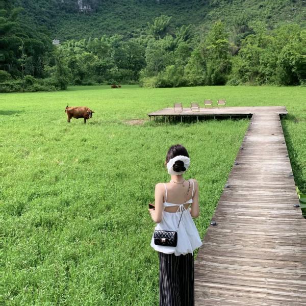 房产经纪人